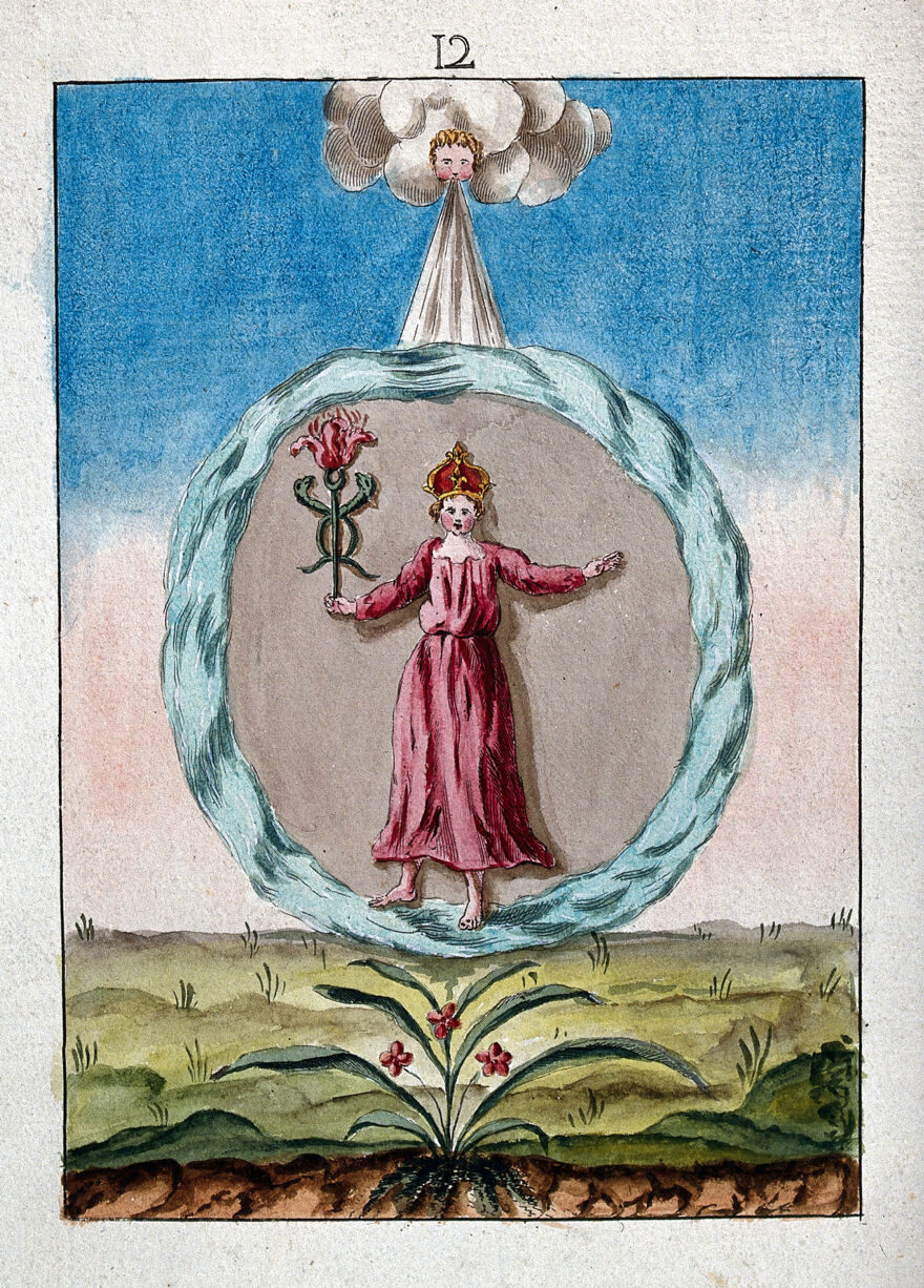 Lámina alquímica — manuscrito iluminado
